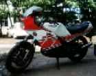 RZ-350RR